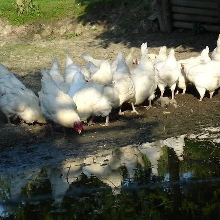 La Ferme Du Pressoir 3*