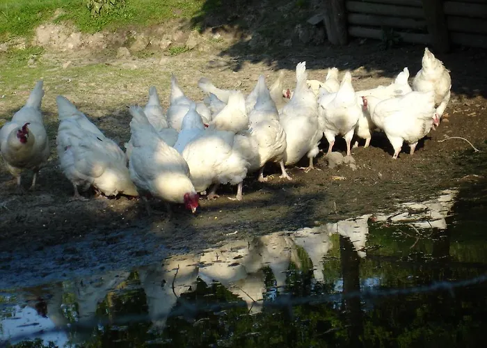 La Ferme Du Pressoir 3*